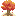 秋の木